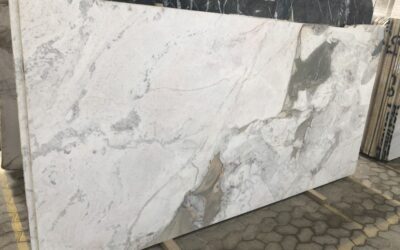 (43) Callacatta Parana – Dolomitic Marble